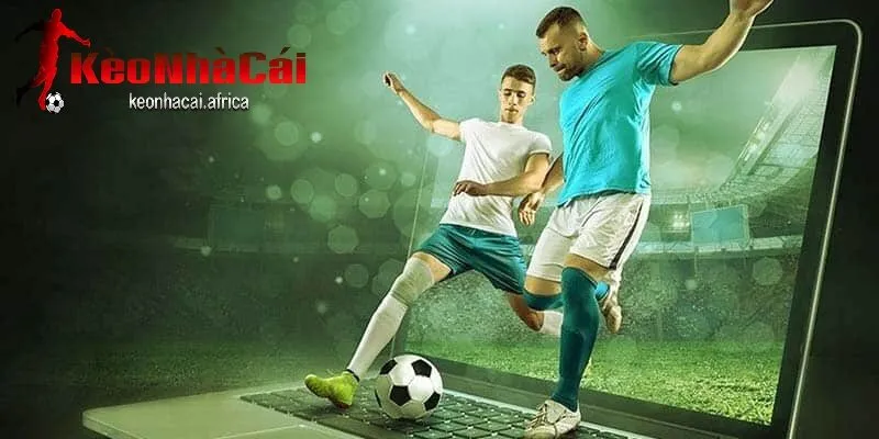 Giới thiệu tổng quan kinh nghiệm cá cược